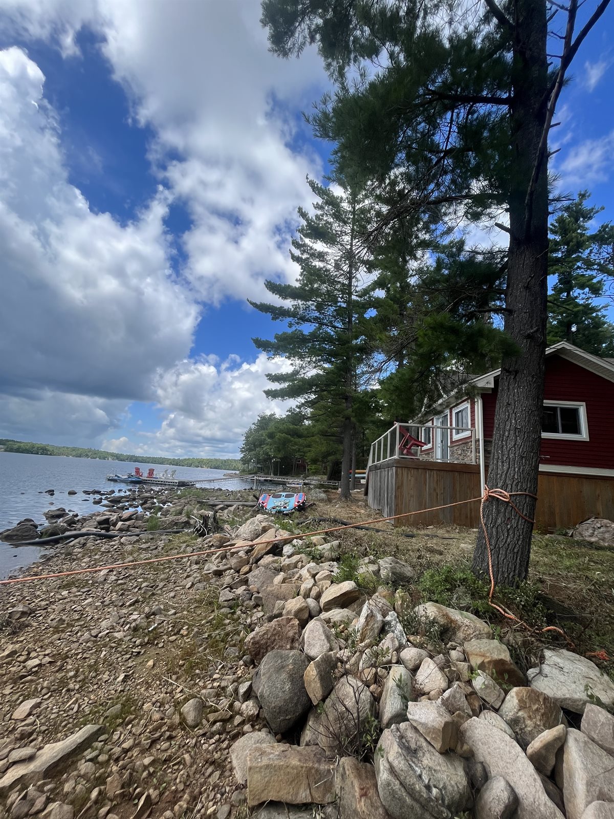 The same cottage shoreline after Pearce Professional Tree Care finished the clearing
