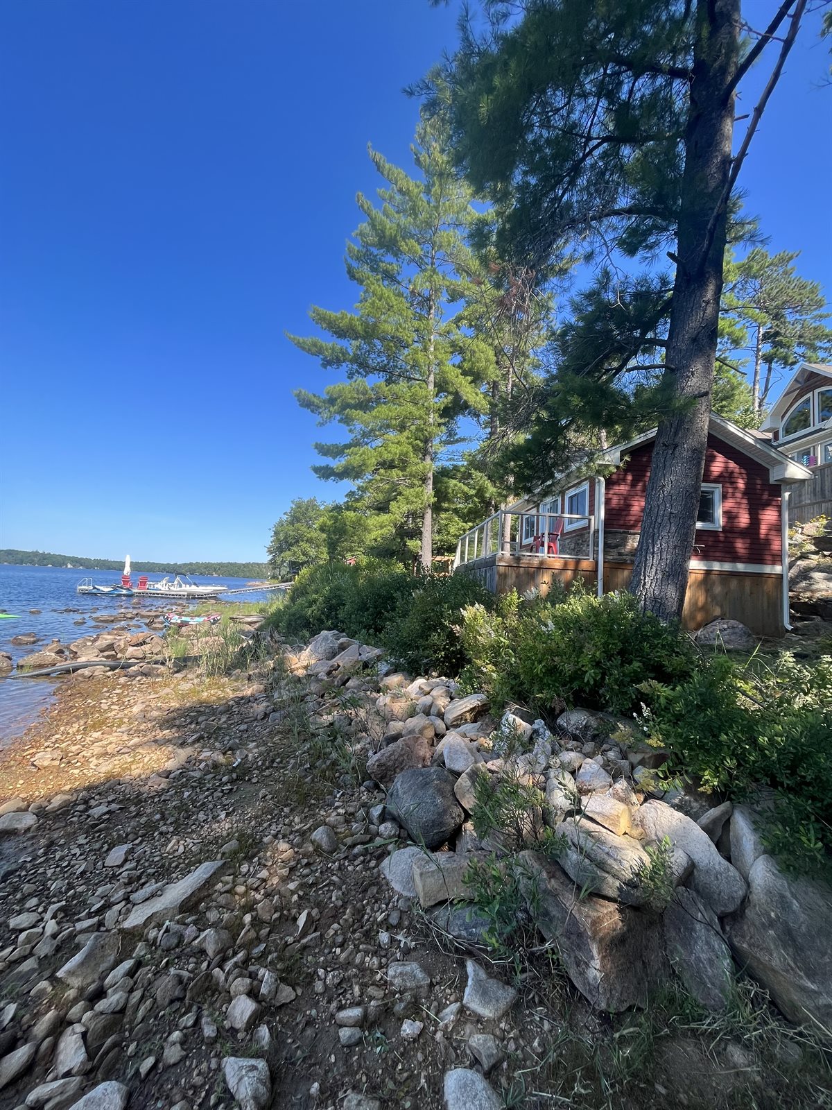 Cottage shoreline before Pearce Professional Tree Care cleared the trail and brush