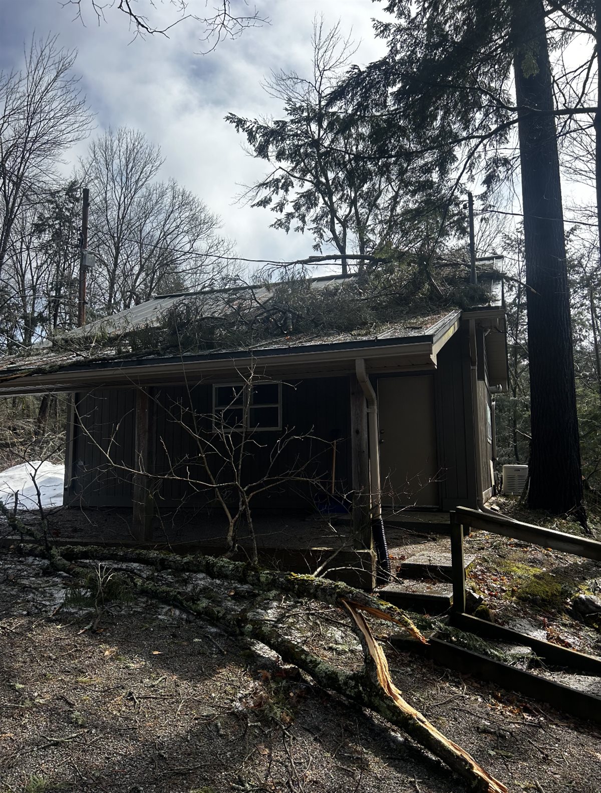 Cottage with a tree fallen across the roof before Pearce Professional Tree Care cleared the storm damage