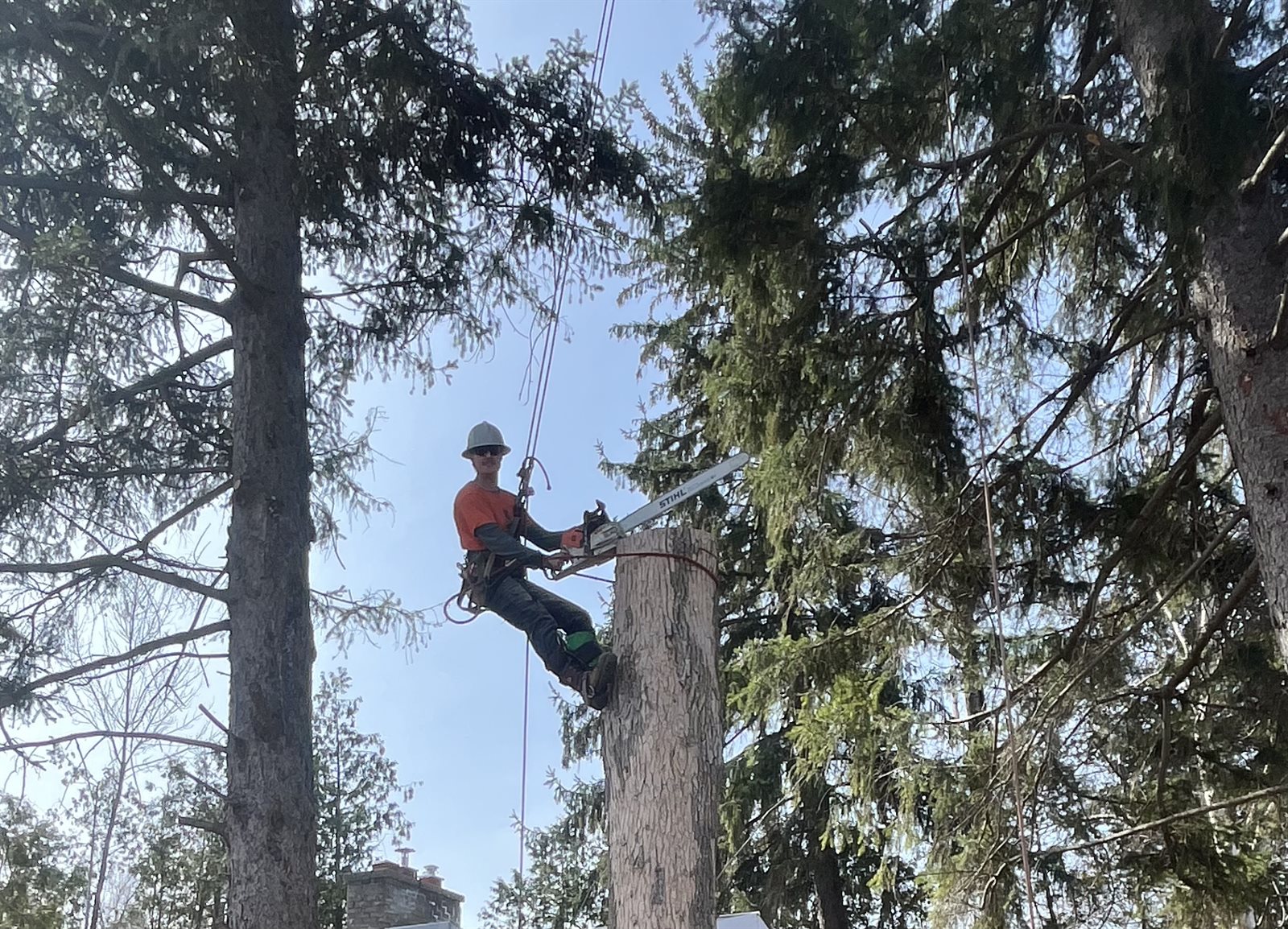 Tyson Pearce, Certified Arborist and owner of Pearce Professional Tree Care